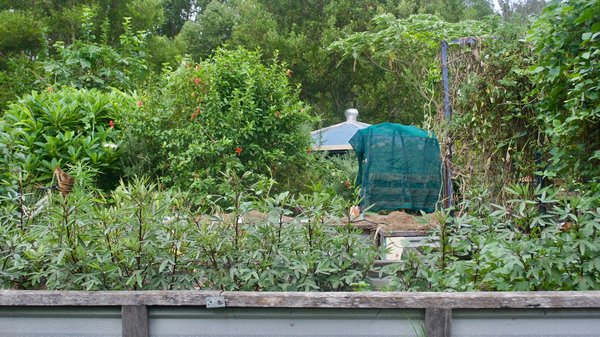 Quels sont les avantages de la permaculture pour un jardin de légumes urbain?